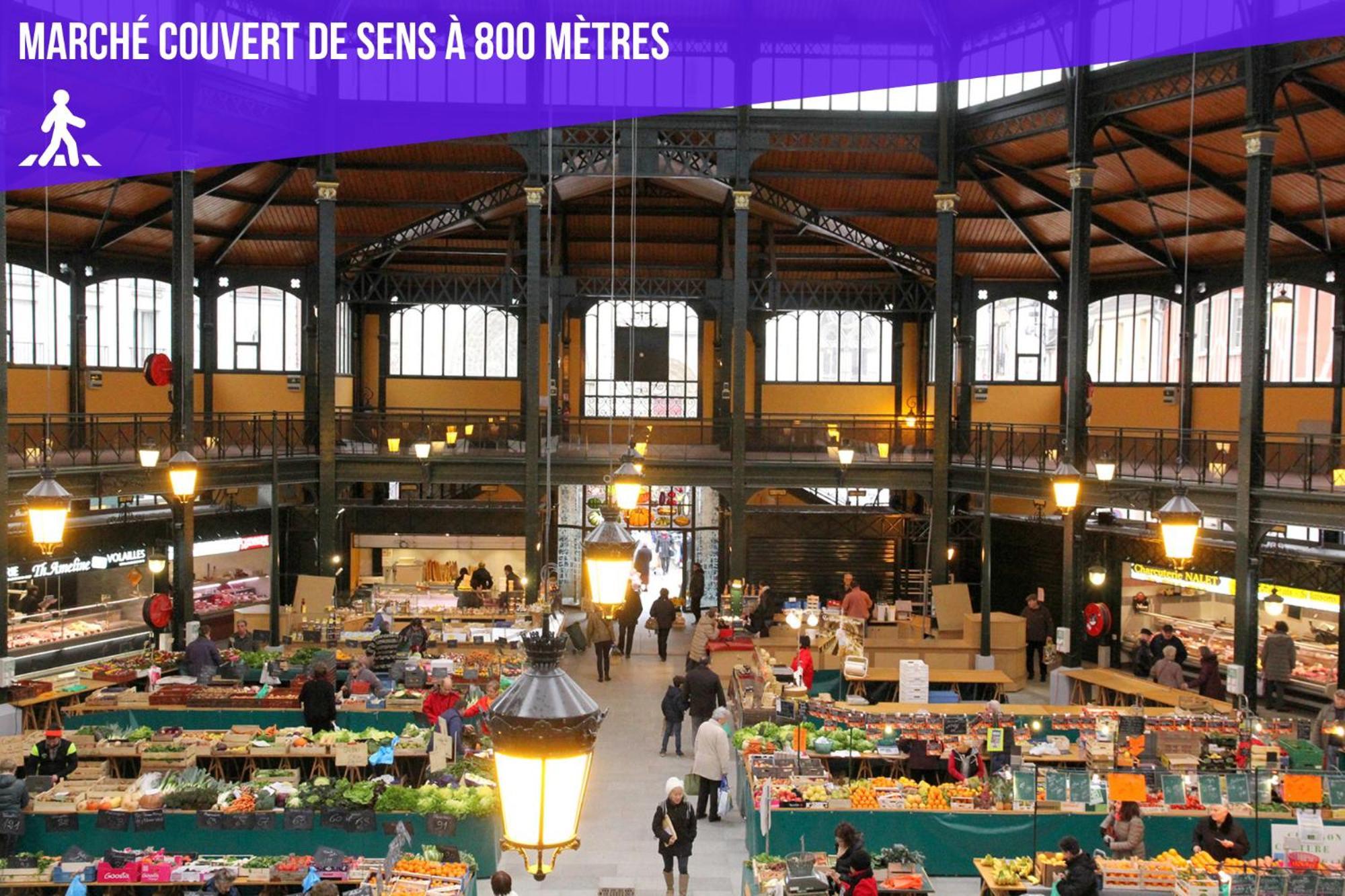 Le Premier - Charmant T2 A 600M Du Centre Ville Sens Zewnętrze zdjęcie